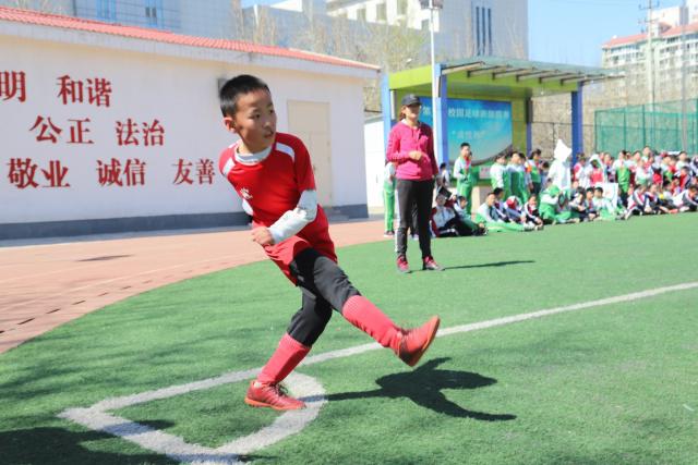 36岁威廉11场比赛1助攻遭解约 冬窗有望重返英超